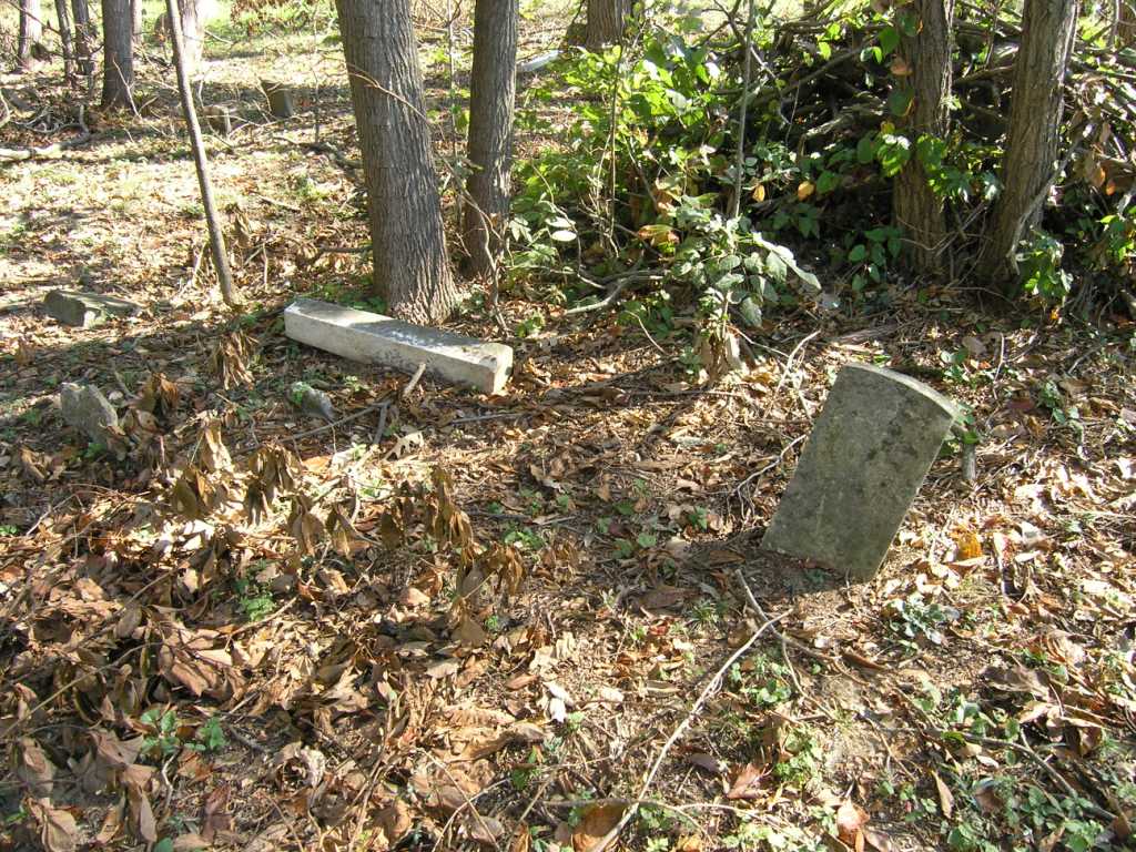 Ransom_Cemetery_Ripley_Cty_IN__KDR_134
