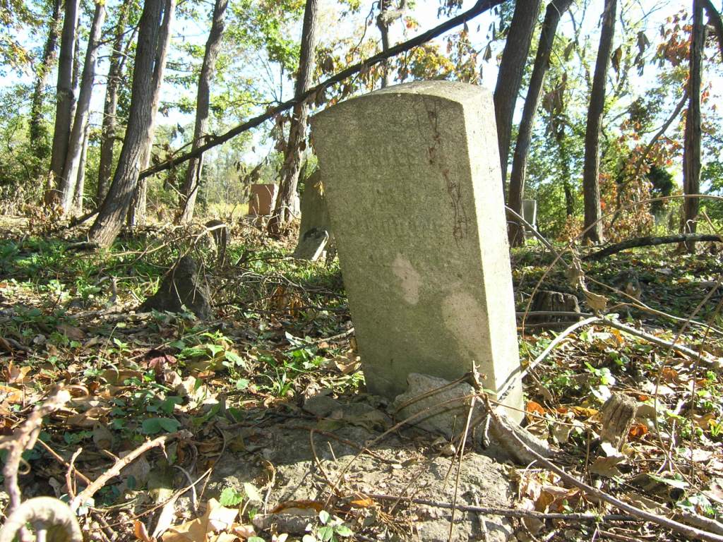Ransom_Cemetery_Ripley_Cty_IN__KDR_136